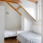 Bright & Spacious Loft In The Heart Of Old Town Laibach