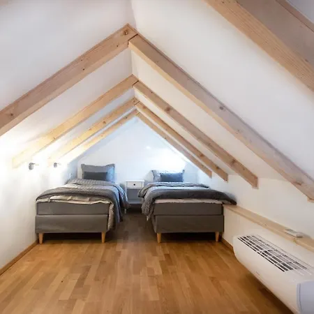 Bright & Spacious Loft In The Heart Of Old Town Apartment Laibach