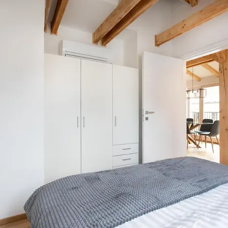 Bright & Spacious Loft In The Heart Of Old Town Ljubljana