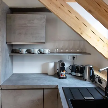 Bright & Spacious Loft In The Heart Of Old Town * Ljubljana