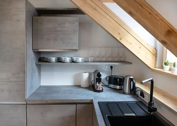 Bright & Spacious Loft In The Heart Of Old Town * Laibach