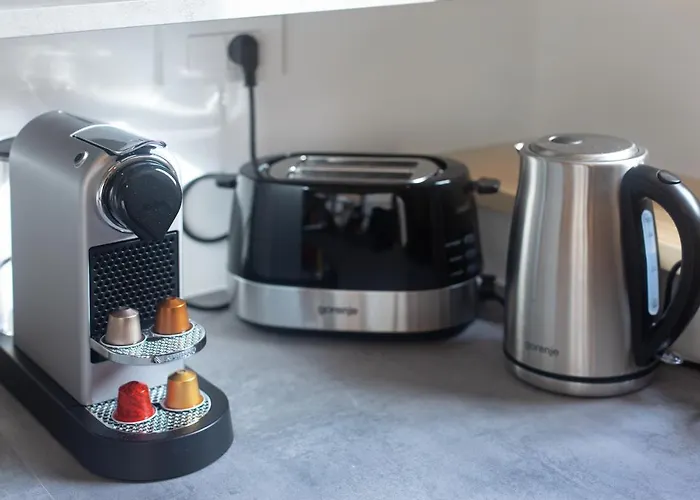 Bright & Spacious Loft In The Heart Of Old Town Appartamento Lubiana